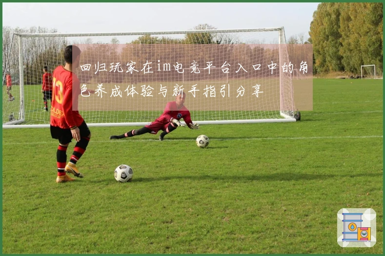 回归玩家在im电竞平台入口中的角色养成体验与新手指引分享