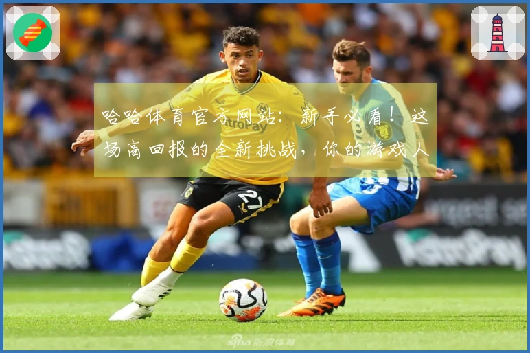 哈哈体育官方网站：新手必看！这场高回报的全新挑战，你的游戏人生从此腾飞