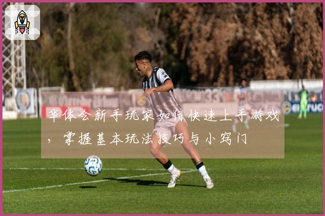 华体会新手玩家如何快速上手游戏，掌握基本玩法技巧与小窍门